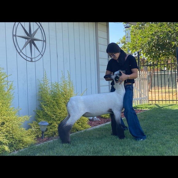 Meet your Posher, Ariana - Picture 1 of 1